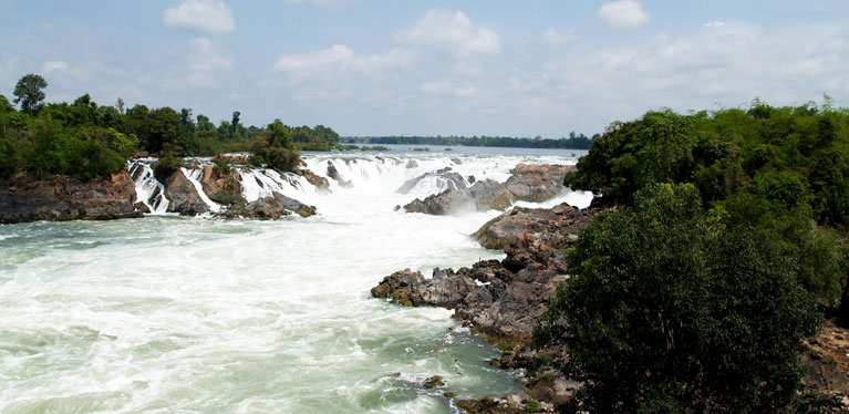 Media Image