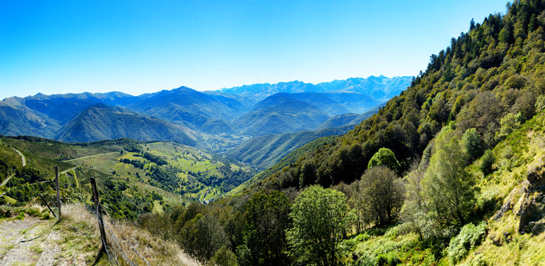 Media Image